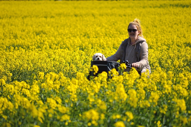 Technological Marvels Tour