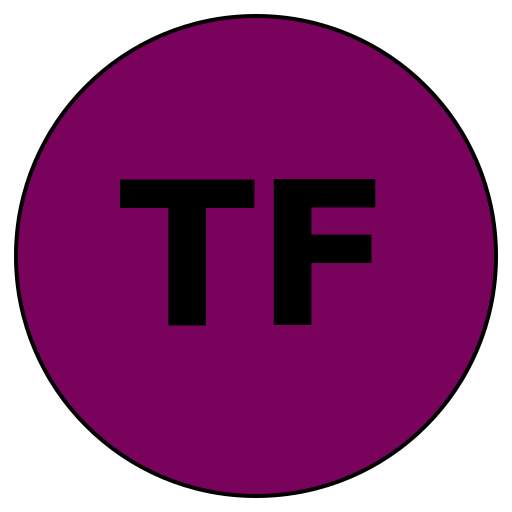 TravelFocus